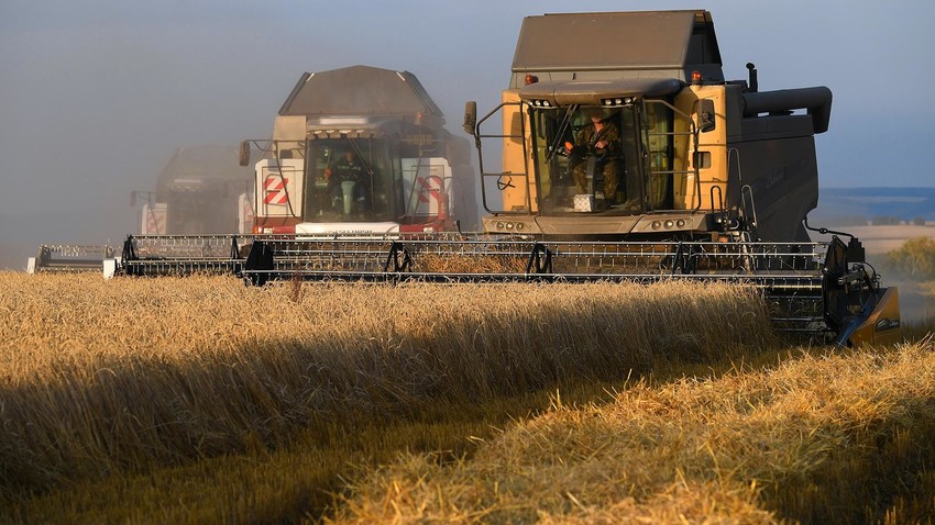 какое место в мире занимает россия по экспорту зерна