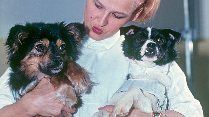 宇宙開発競争を大きく前進させた2匹の犬 ロシア ビヨンド