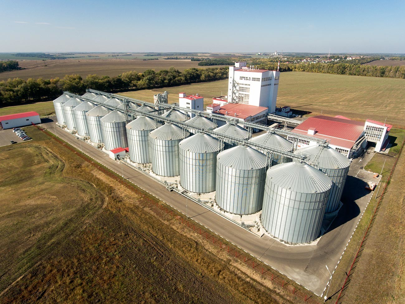 Cómo Rusia se convirtió en el principal exportador de trigo del mundo
