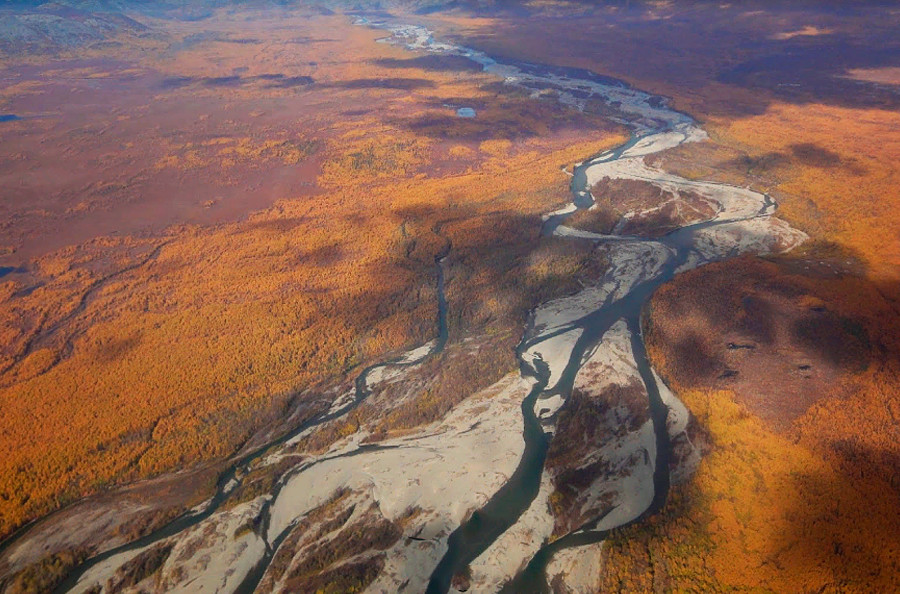 Evguénia Guinzbourg Le Ciel De La Kolyma Was wurde aus den 42.000 alten Würmern, die russische Forscher im