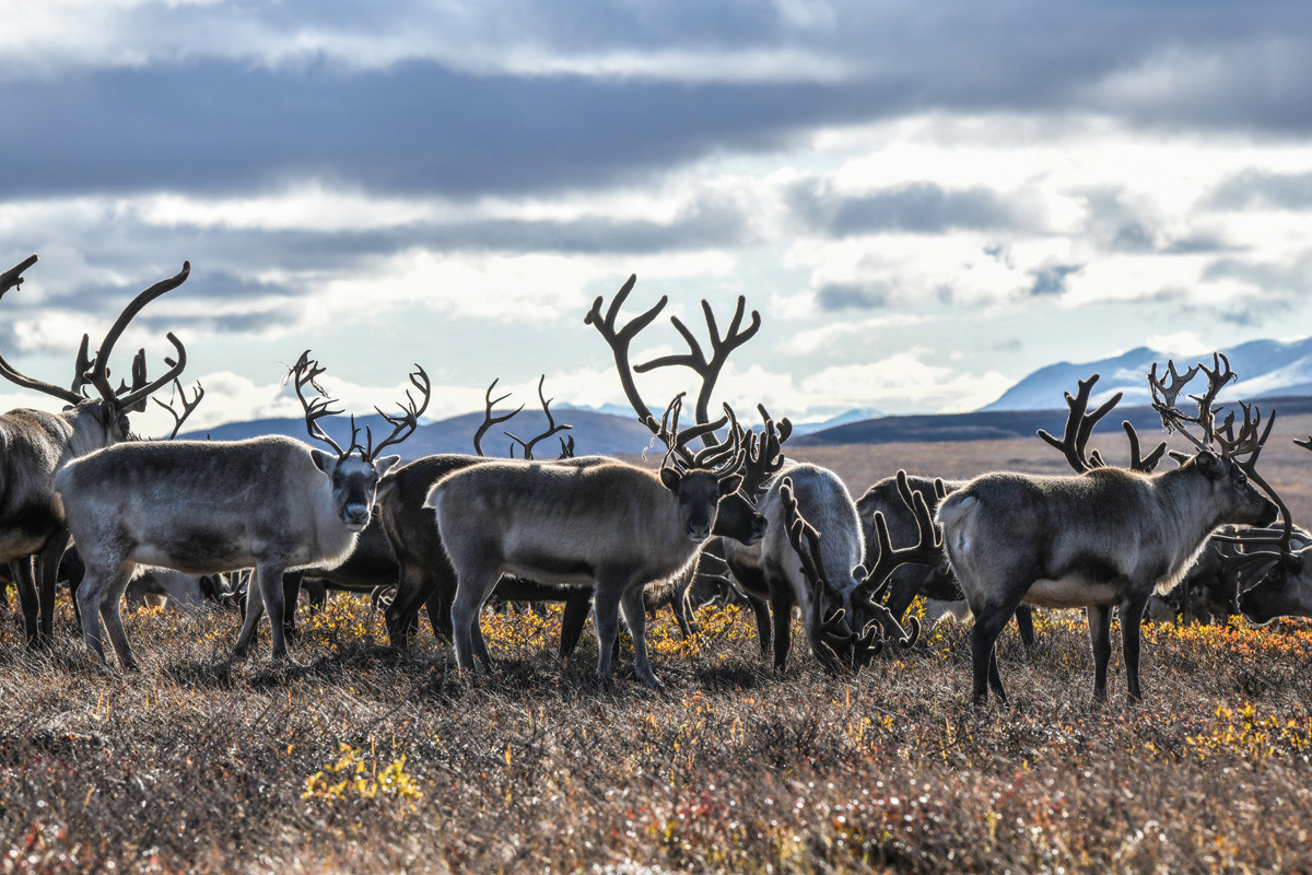 Sajian Keindahan dari Semenanjung di Ujung Dunia (FOTO