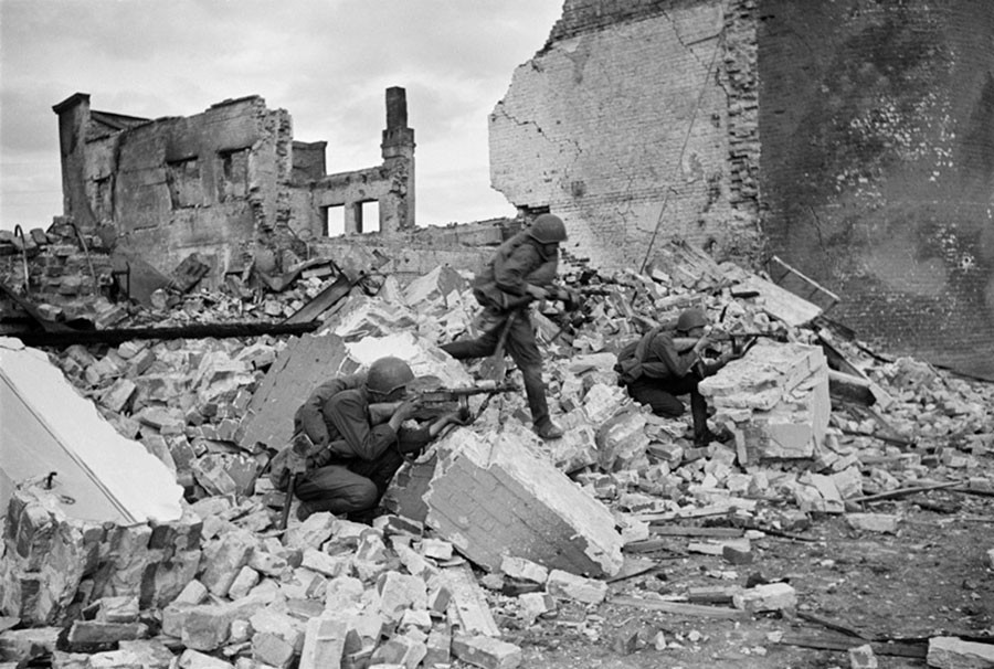 Date De La Bataille De Stalingrad Comment les souris ont aidé l’Armée rouge à vaincre les nazis à