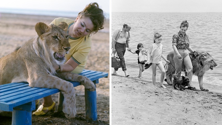 How a Soviet family raised a lion - Vimarsana News