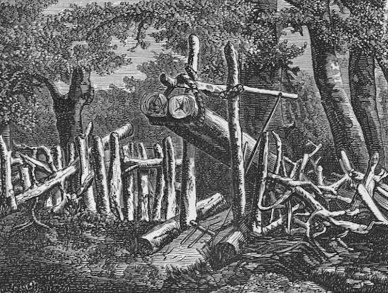 A wooden bear trap (shchemitsa).
