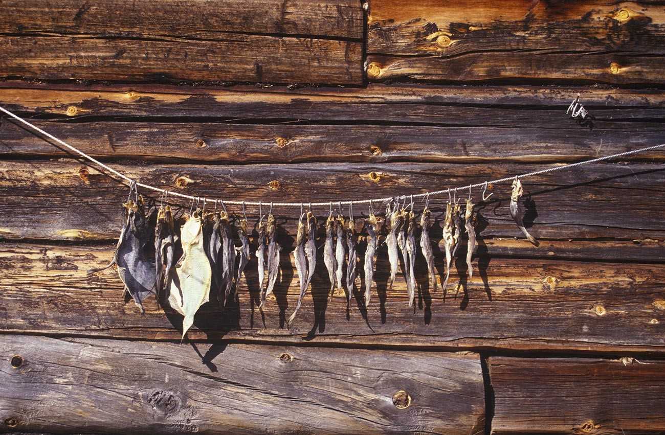 Kovda. Fish drying on side of log house. July 24, 2001