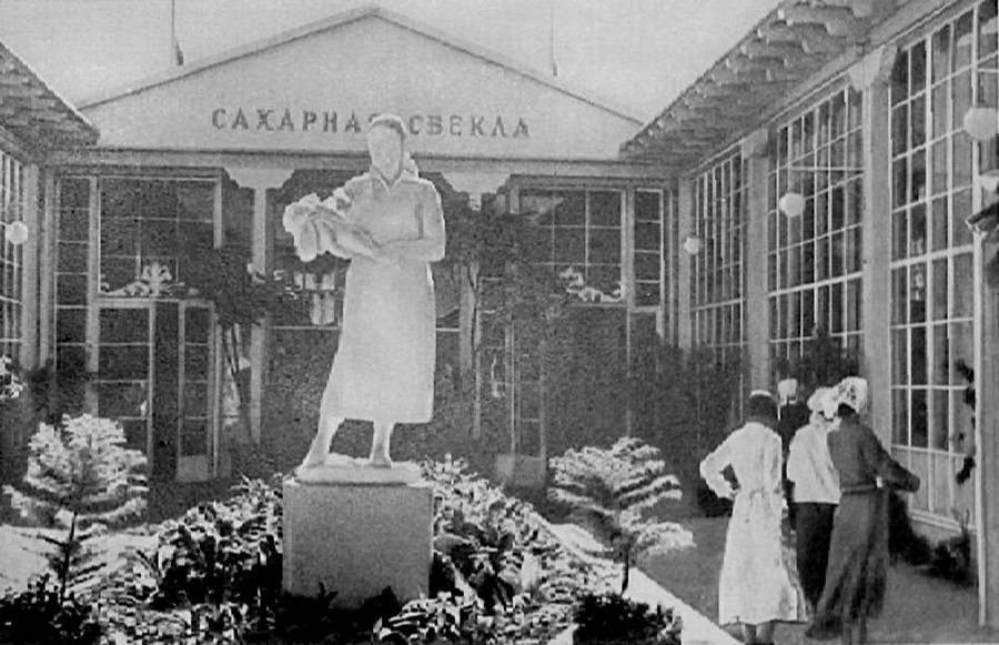 Захарно цвекло