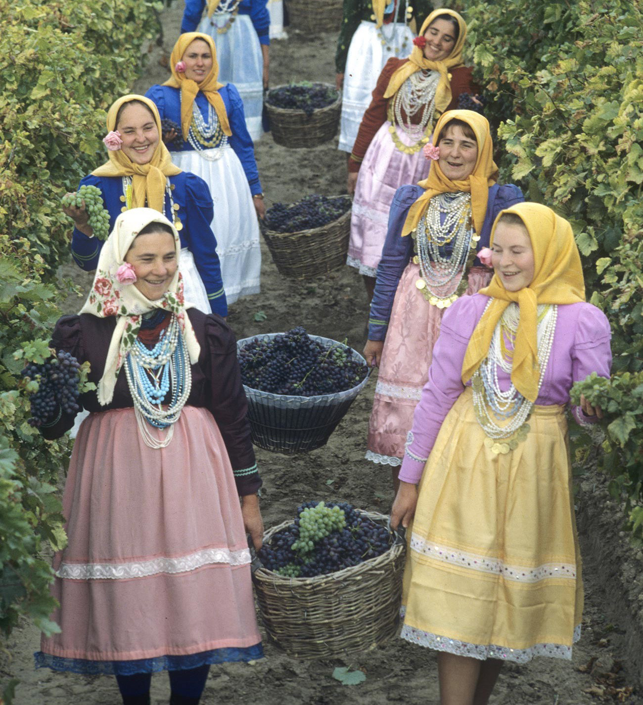 Grape harvest in a Moldavian village, 1982