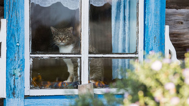 ロシア人性格 ロシア ビヨンド