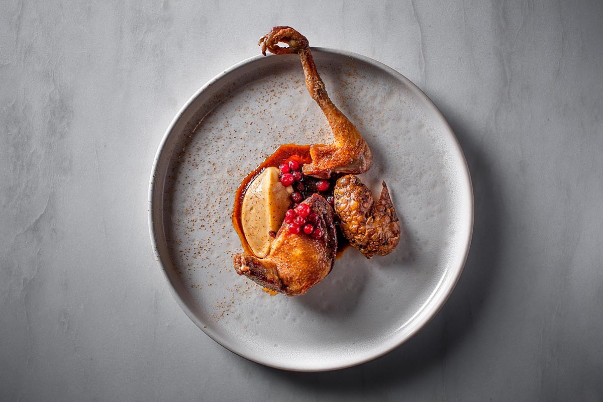 Pigeon with Jerusalem artichoke and soaked cowberries.