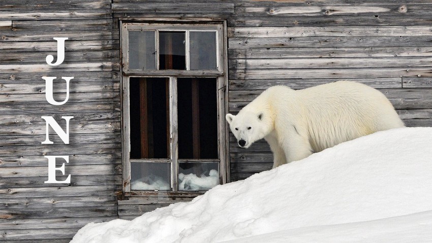 Where is the longest winter in Russia? - Vimarsana News