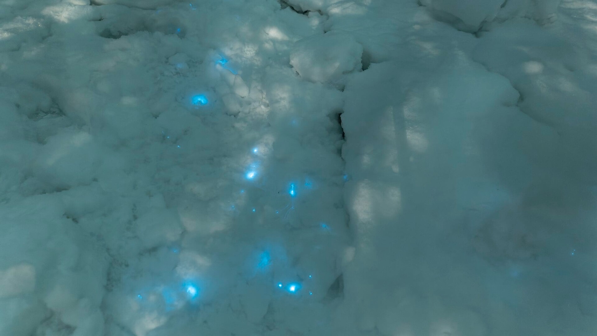 SNOW that glows was found in the Arctic (PHOTOS) - Russia Beyond