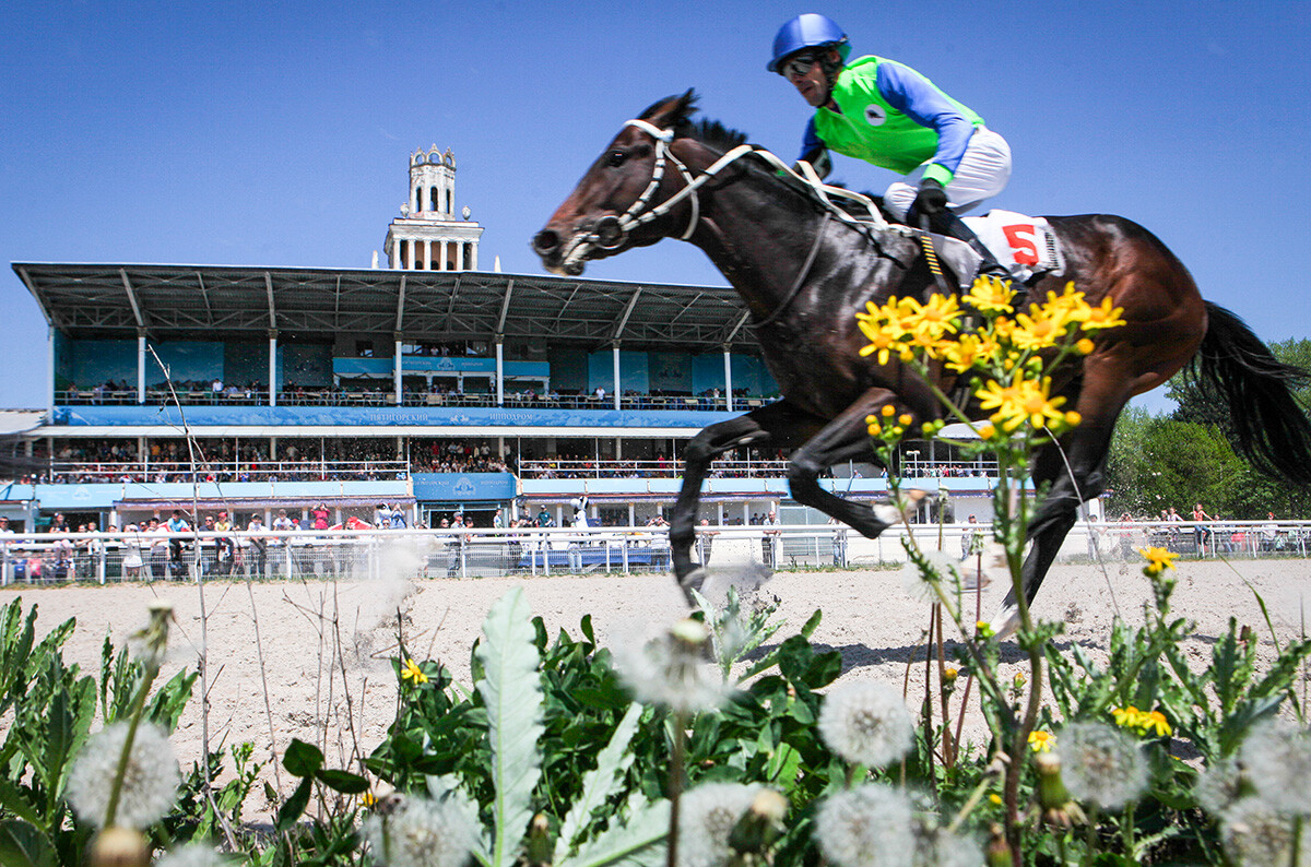 Топ 5 на руските писти за конни надбягвания (СНИМКИ