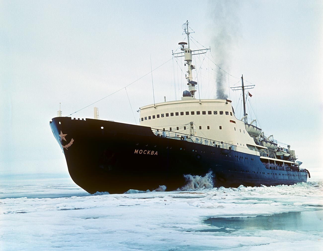 チュコトカとアラスカの間で00頭のシロイルカを救ったソ連の砕氷船 写真特集 ロシア ビヨンド