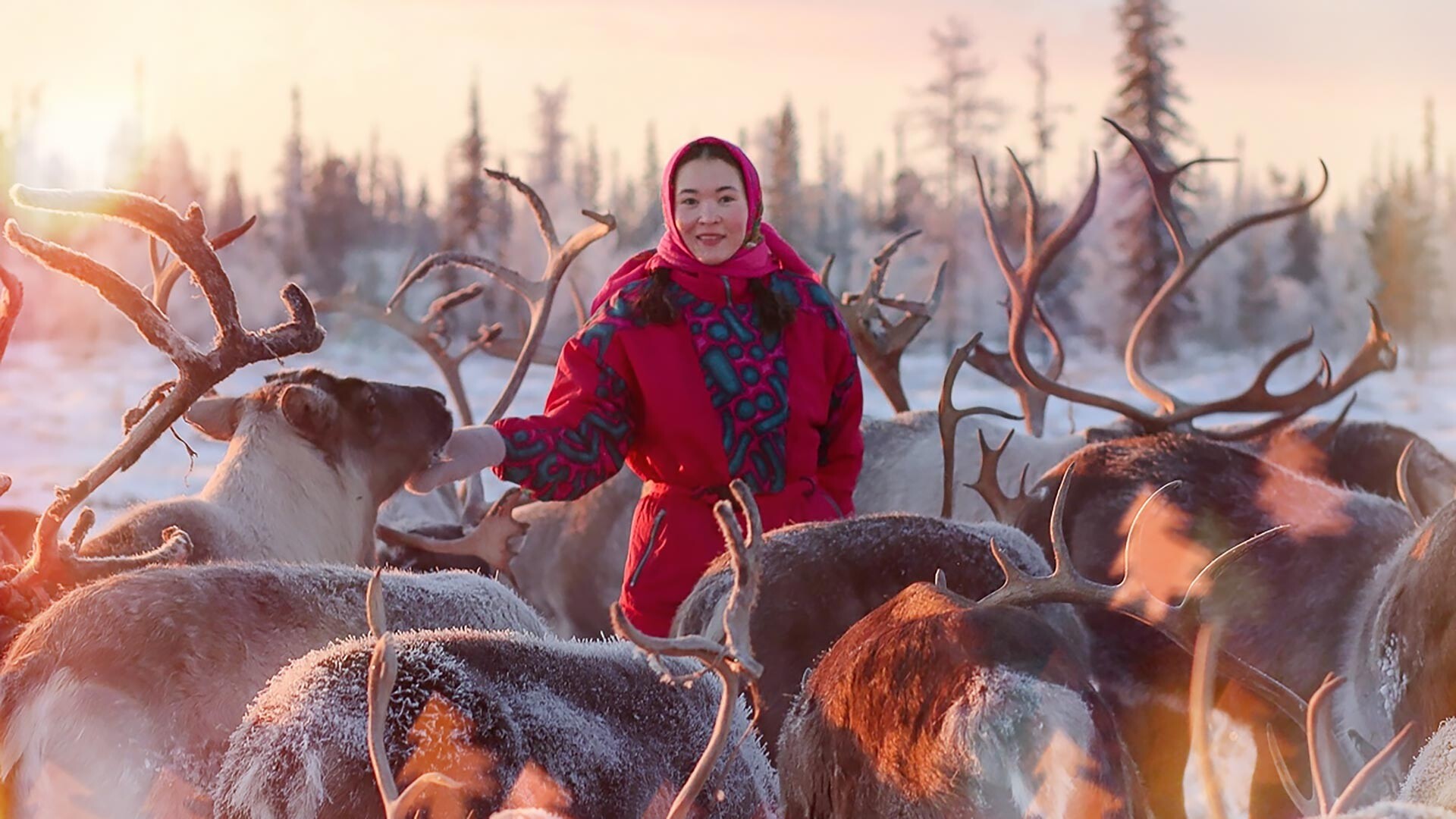 ロシアのトナカイ飼いの女性はどのような生活をしているのか 写真特集 ロシア ビヨンド