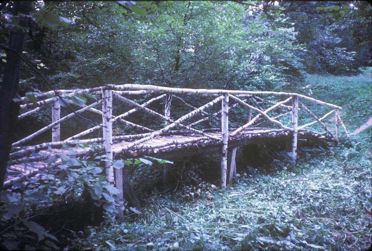 Yasnaya Polyana. Estate park, birch log bridge. July 28, 1970