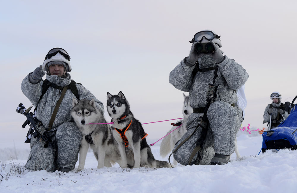 Renas e cachorros treinam para integrar tropas árticas width=