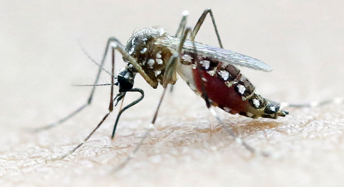 Bagaimana Menghindari Virus Zika?