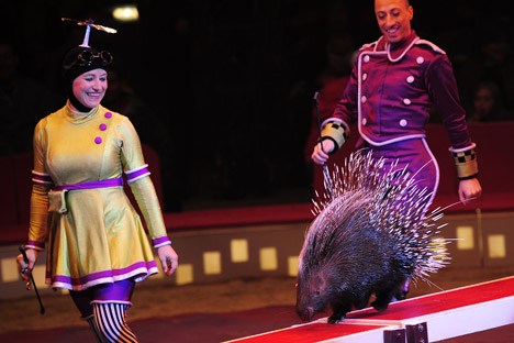 The animal question in the world of circus