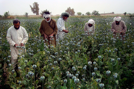 Rusia Antisipasi Arus Masuk Heroin dari Afganistan