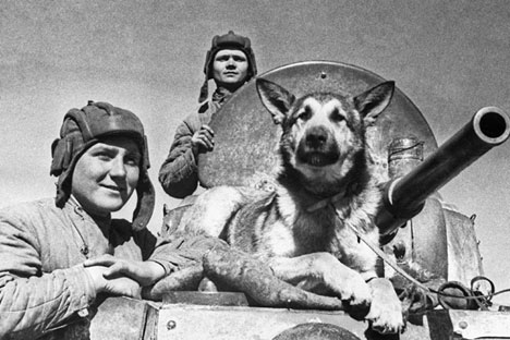 Anjing-anjing Soviet Pahlawan Perang Dunia II