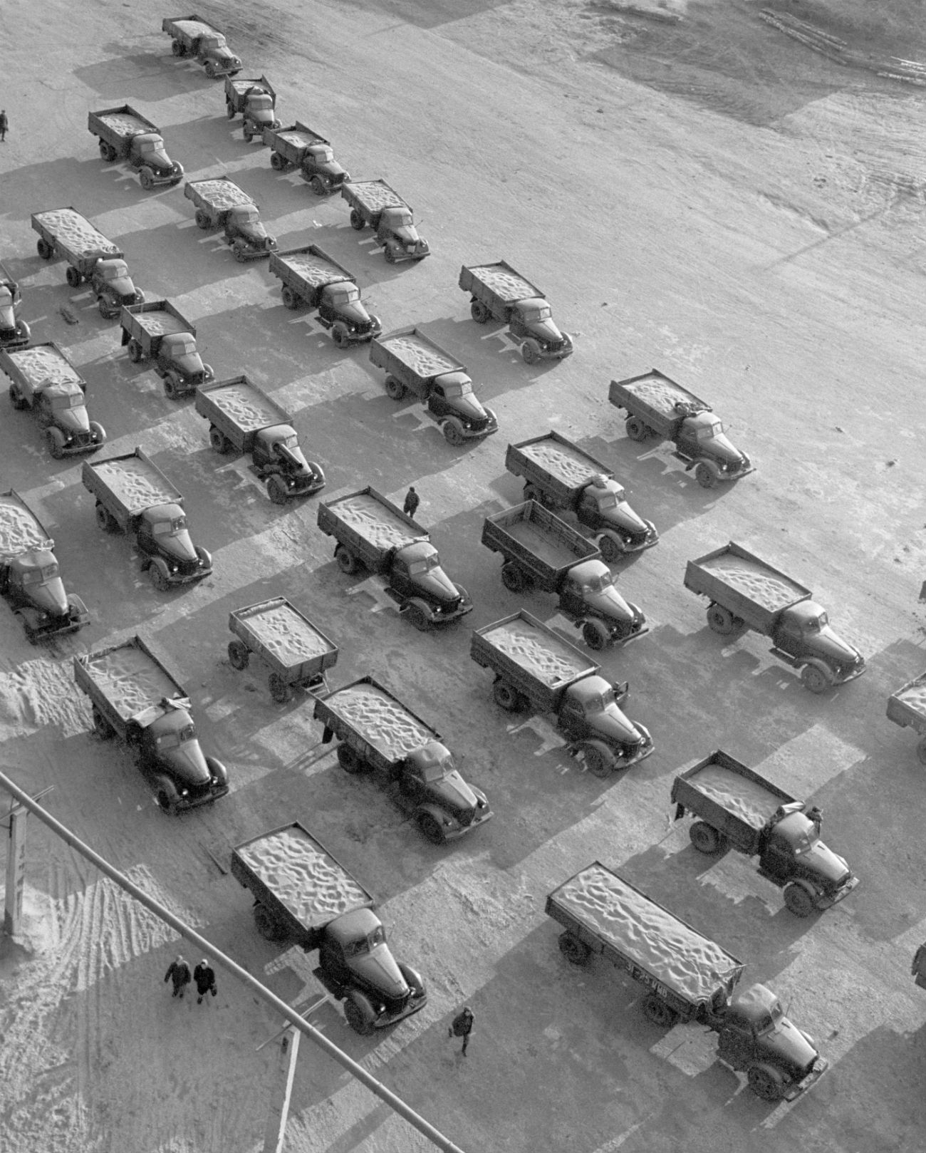 Kolona tovornjakov, polnih žit, se vrača z "deviških polj" v Socialistični sovjetski republiki Kazahstan. Foto: Vladimir Davidov / TASS