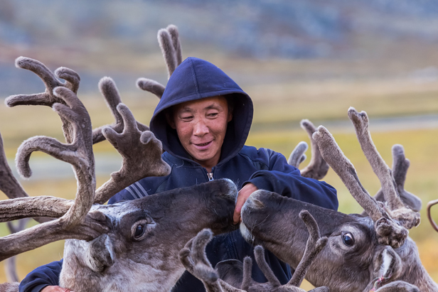  Chasing the reindeer, and following the roe; My heart&#39;s in Chukotka, wherever I go 
