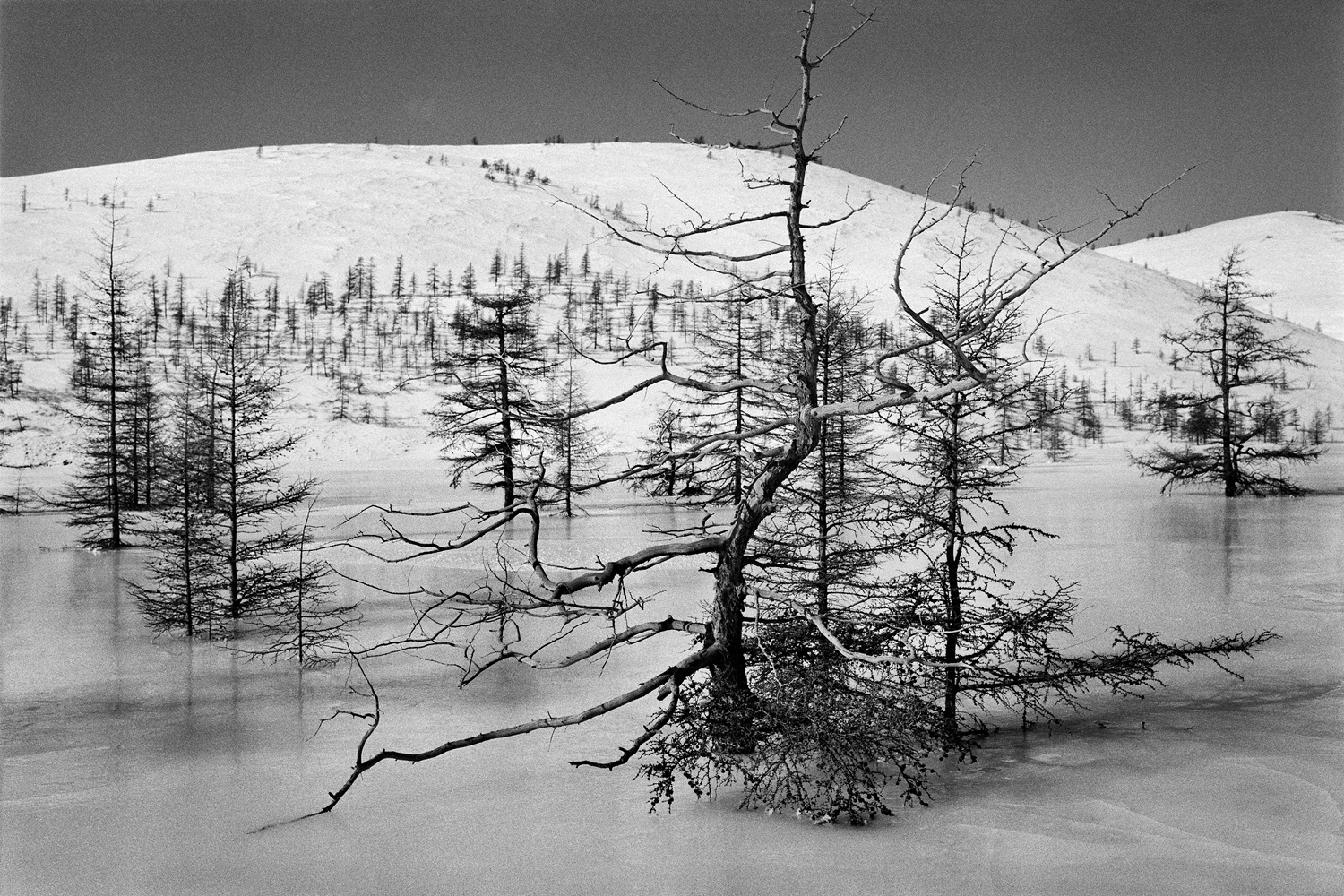 Sulle orme di Varlam Shalamov: la valle ghiacciata del fiume Mjakit. Fonte: Emil Gataullin