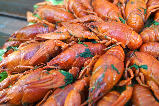 Delicious TV: Boiled crawfish, a perfect beer snack