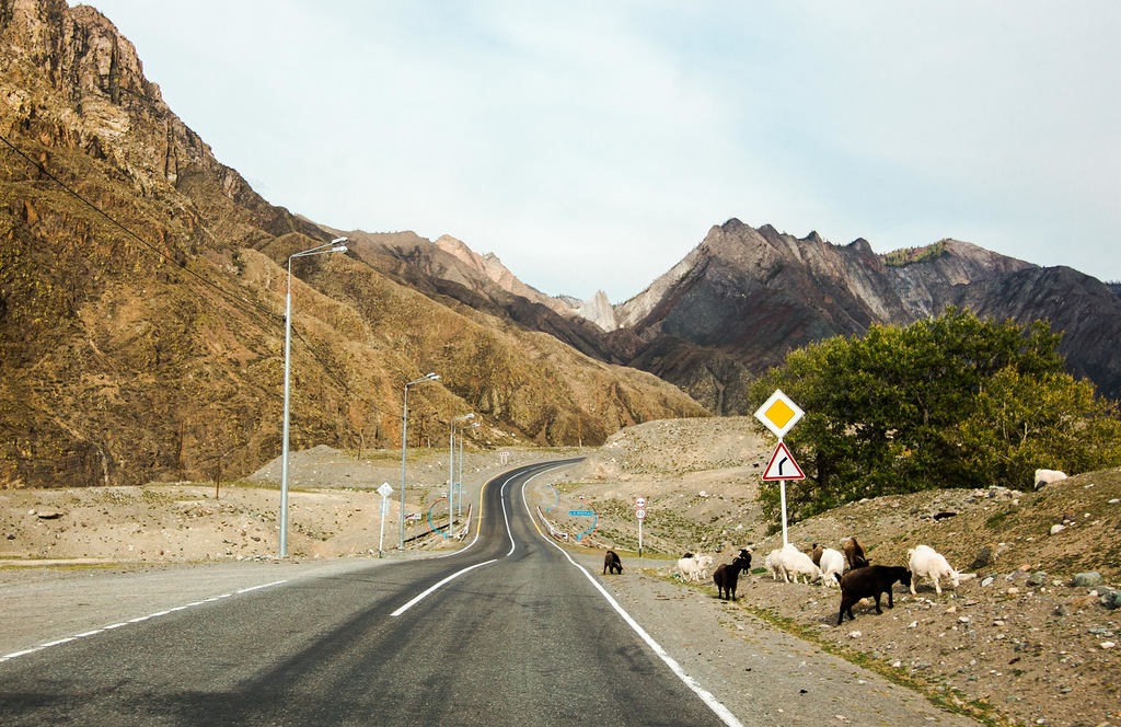 « La route de la Tchouïa est une route ancienne (un musée lui est dédié dans la ville de Bijsk) qui relie la Russie et la Chine, et en même temps une route moderne de 630 km ».