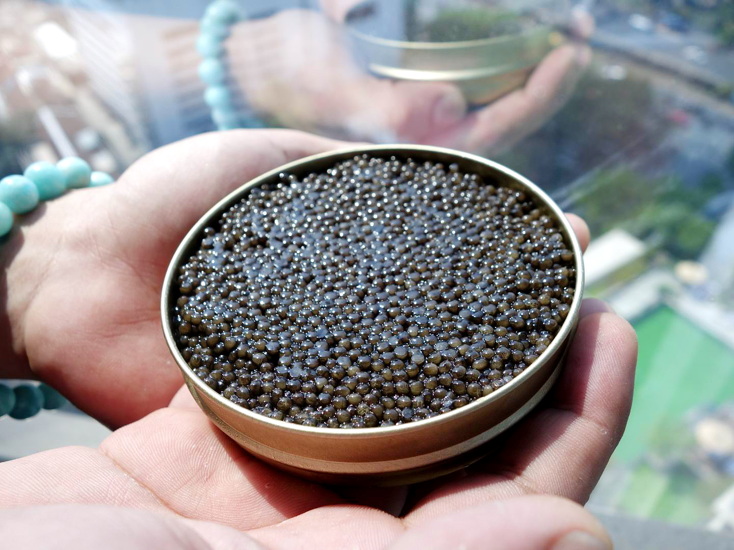 In Thailand, the main consumers of sturgeon and black caviar are the members of the upper middle class. Source: Press photo 