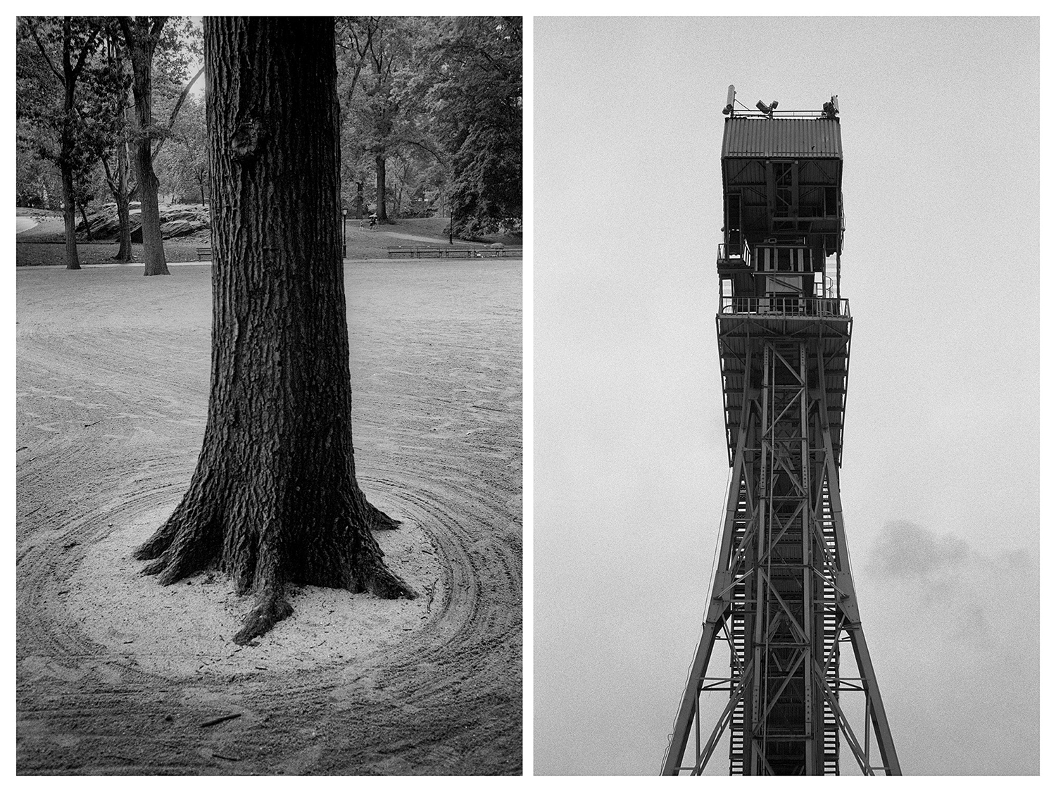 New York – A tree trunk surrounded by circles in Central Park. Moscow – Ski jump at Sparrow Hills.  Credit: Artur Bondar