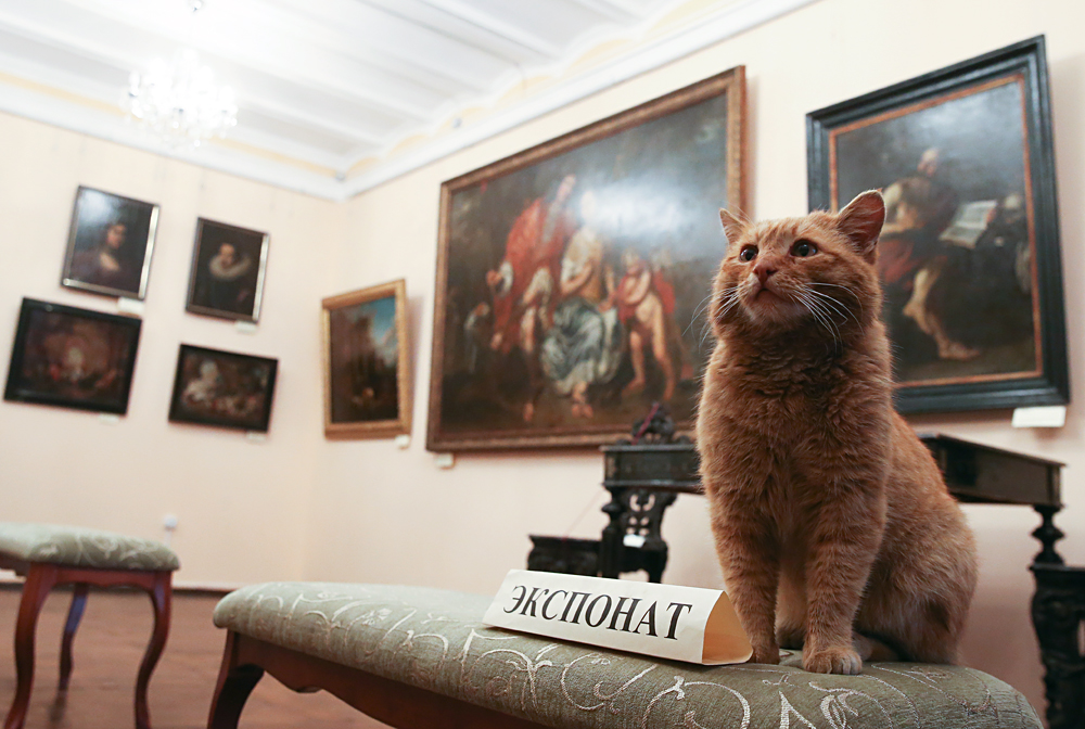 Marai the cat at Serpukhov's Museum of History and Art - Russia Beyond