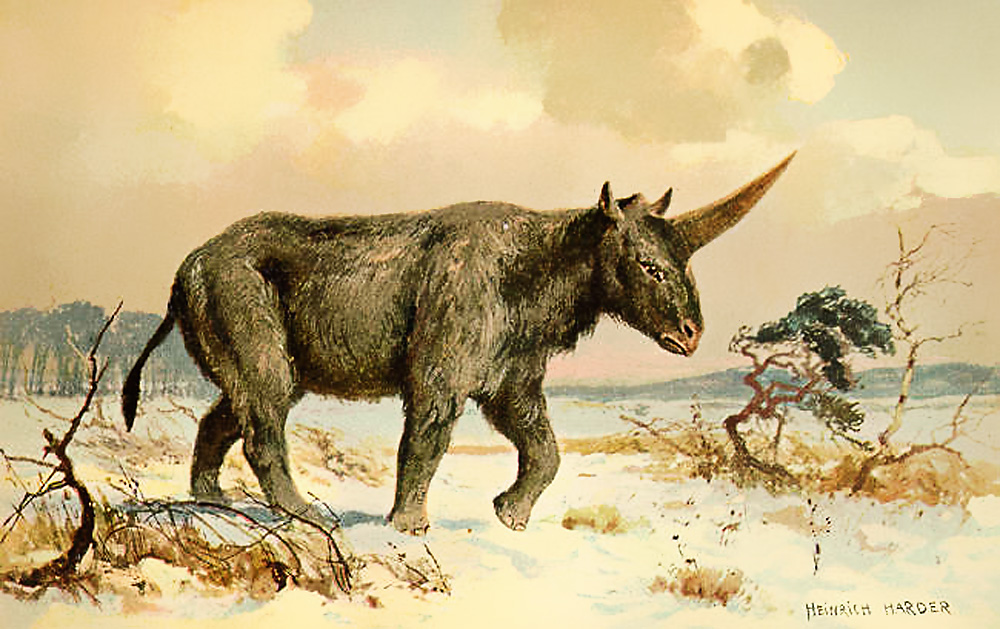 5 shocking facts about Siberia&#39;s unicorn>>>