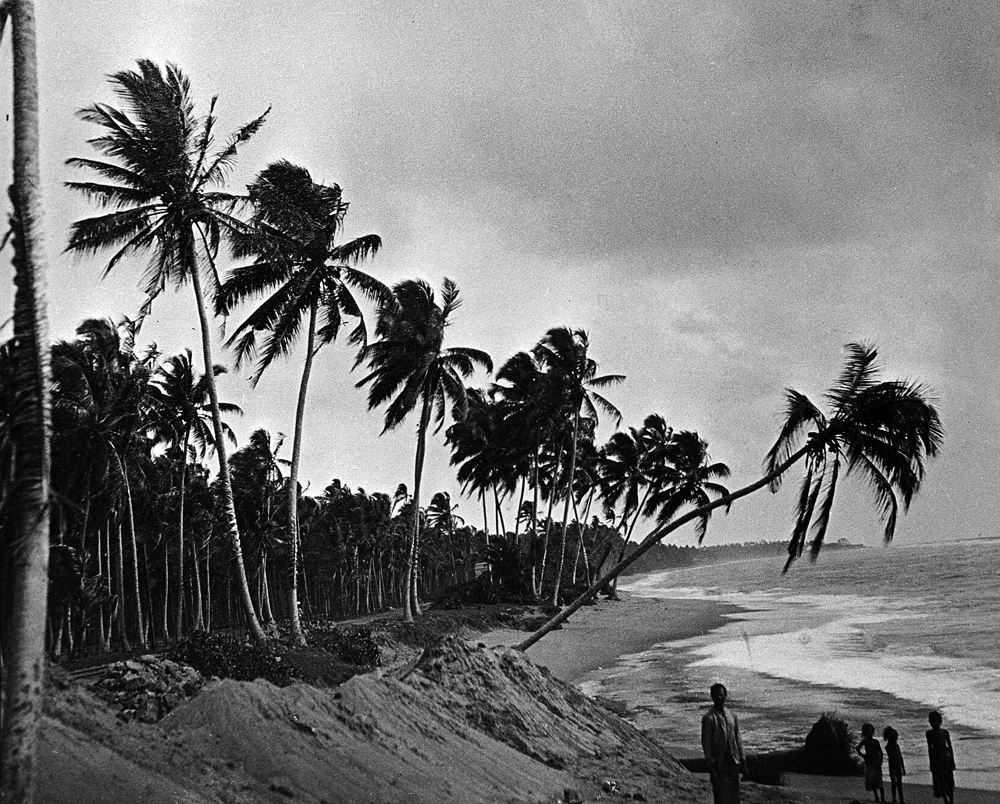 Reproduction of a photo taken by Anton Chekhov on Ceylon. Source: RIA Novosti