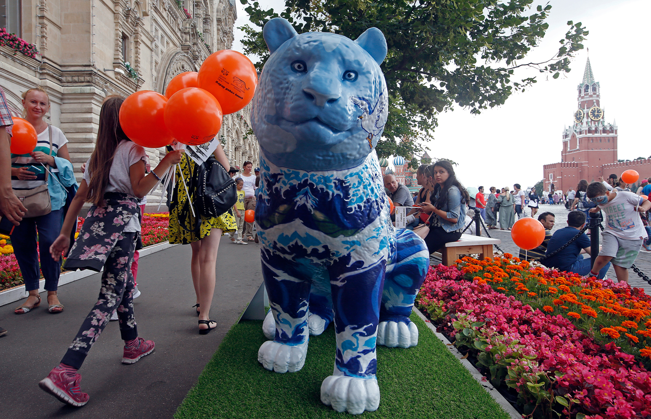 Wild cats parade action in Moscow Russia Beyond