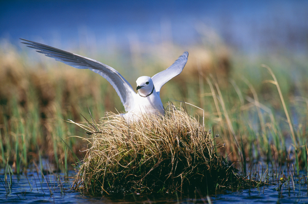 Photo credit: Alamy/Legion-Media