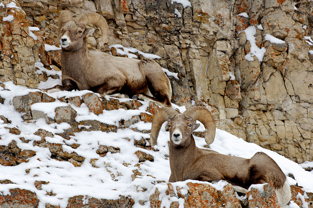 Photo credit: Alamy/Legion-Media