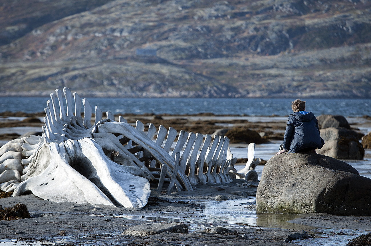 BBC ranks &#39;Leviathan&#39; in top 100 films of 21st century