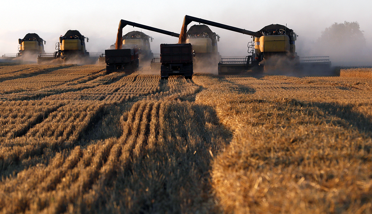 Russia on course to become world&#39;s largest wheat exporter for first time