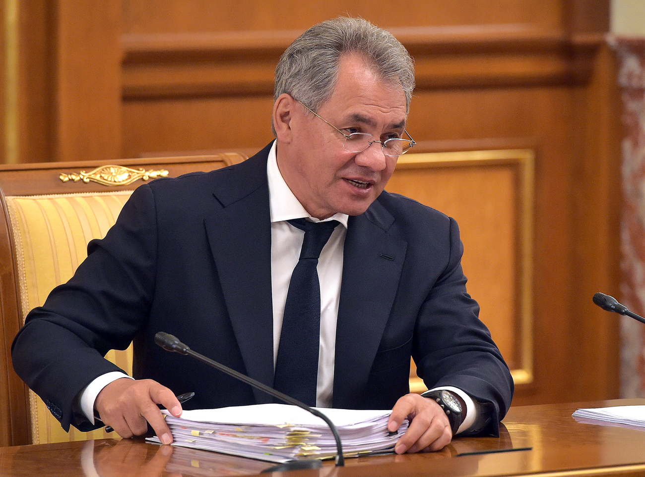 Russia's Defense Minister Sergei Shoigu on a meeting with Russian government / Alexander Astafyev / TASS