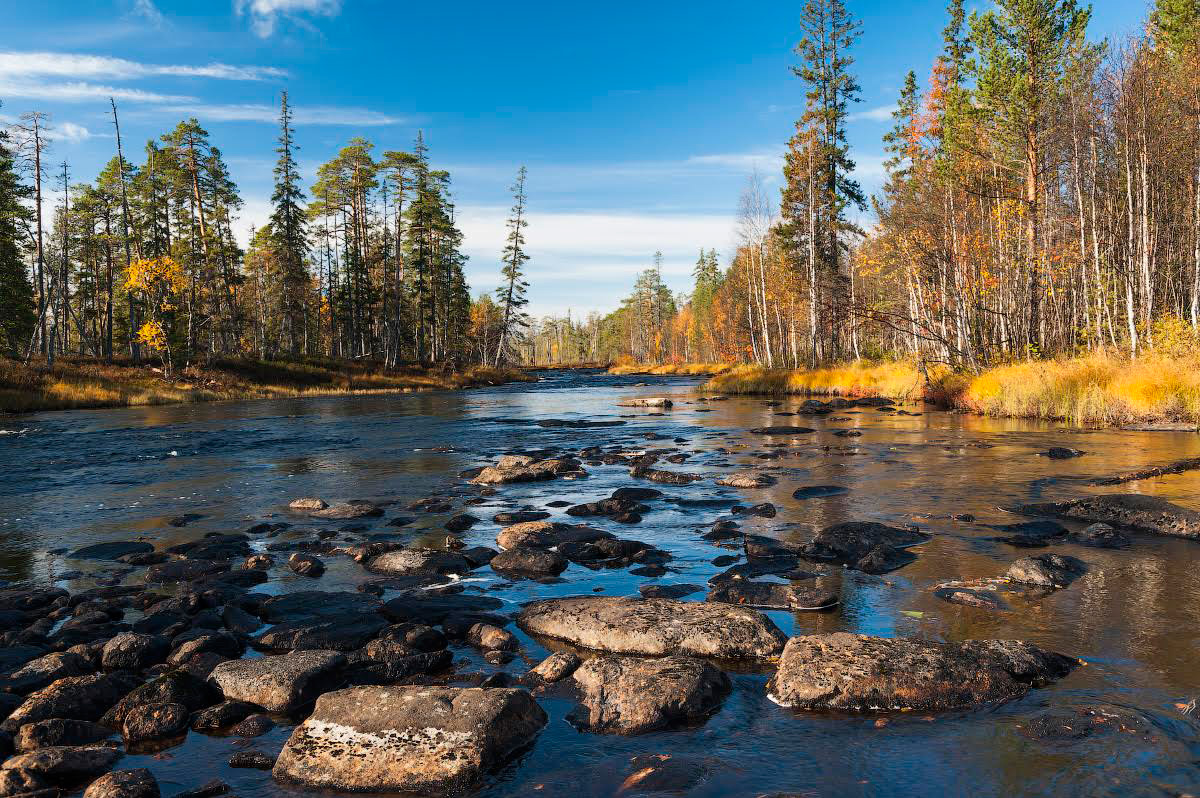 Autumn in Karelia. Source: Ivan Dementievskiy