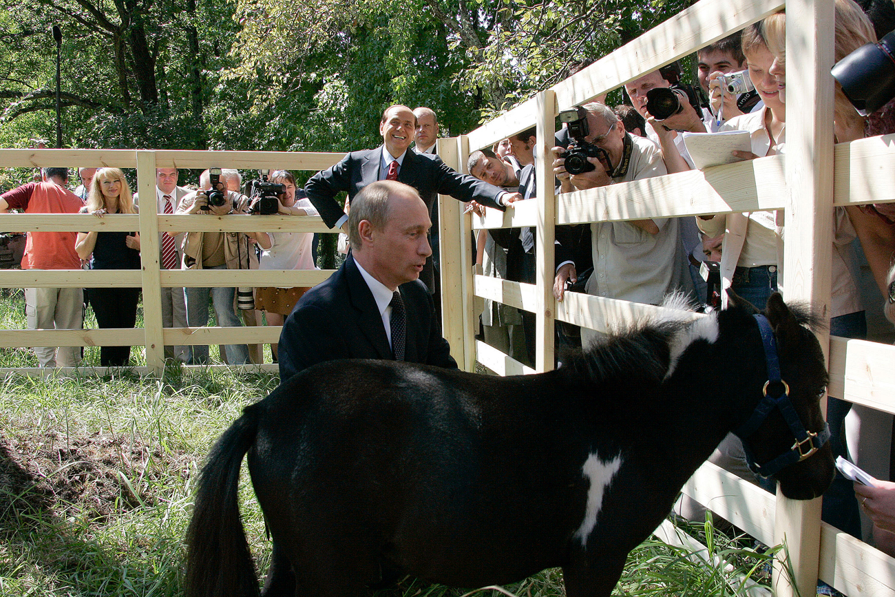 プーチン大統領は2005年に競馬が開催された際、世界最小の馬種ファラベラを受け取った。体長はわずか57センチ。＝ウラジーミル・ラディオノフ撮影／ロシア通信