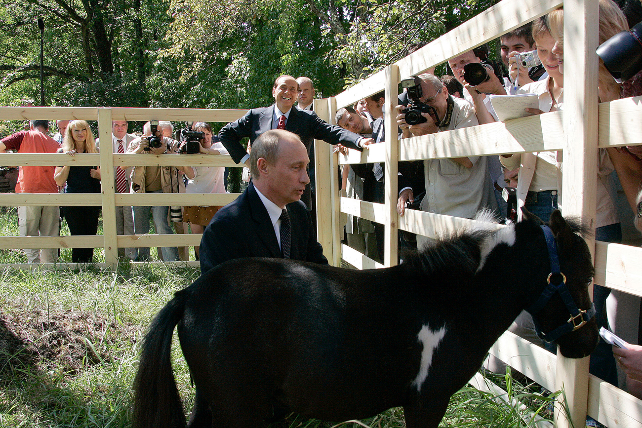 Президентът Владимир Путин с мини кон на име Вадик, който му е подарен в Казан, и италианският министър-председател Силвио Берлускони (на заден план), по време на разходка в президентската резиденция "Бочаров Ручей". Снимка: Владимир Родионов / РИА "Новости"