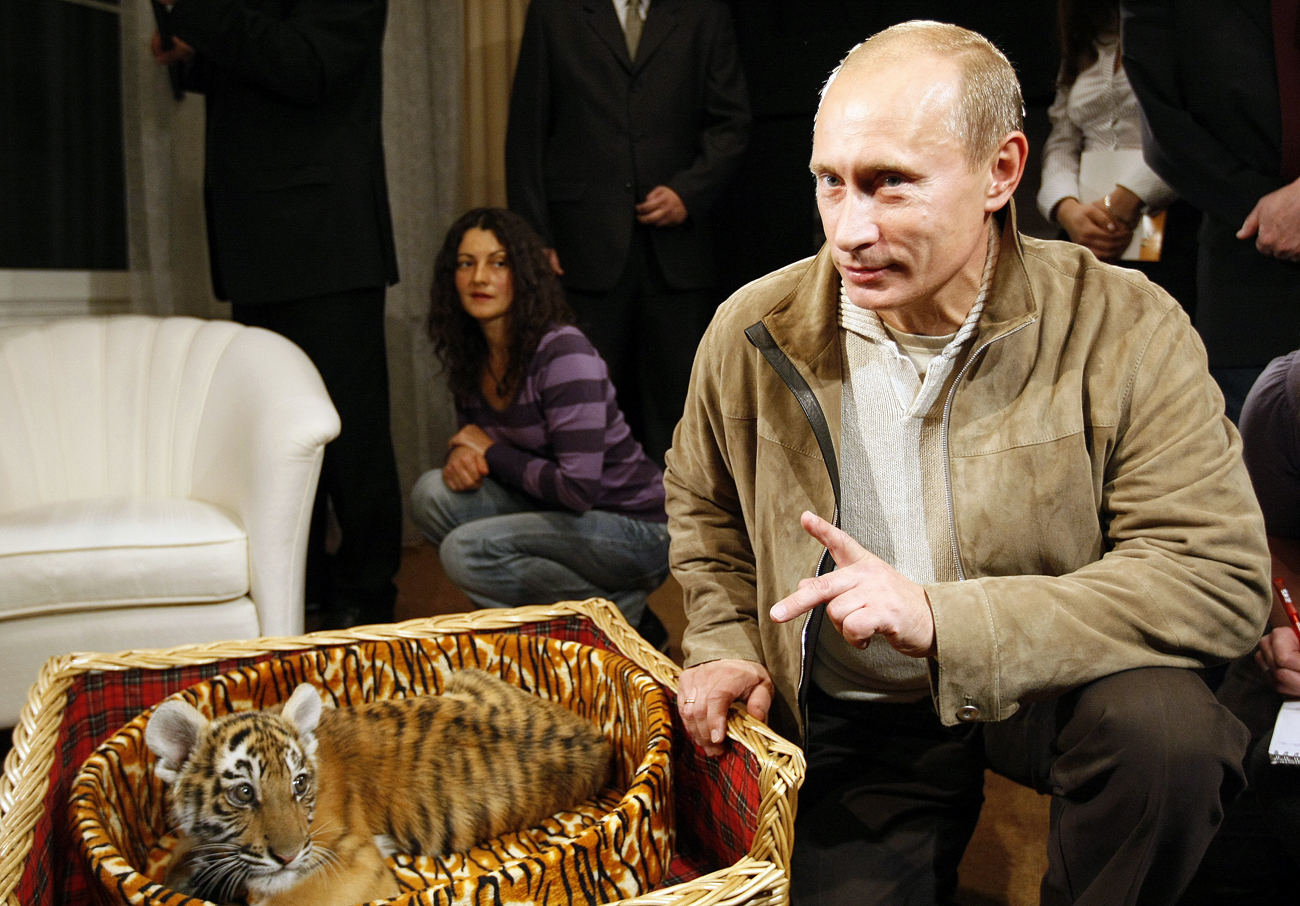 Владимир Путин представя пред журналисти тигърчето, което е получил за рождения си ден. 2,5-месечната сибирска тигрица се премести от резиденцията Ново Огарьово в зоологическата градина. Снимка: Алексей Николски / РИА "Новости"