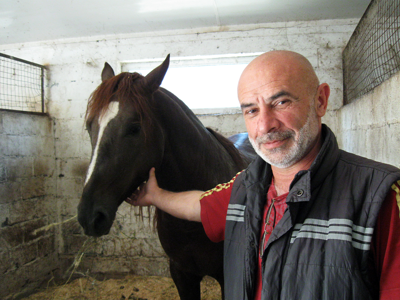Kreativitas tak sekadar sifat bawaan. Menurut Pagaev, dalam darah tiap orang Osetiya mengalir kemampuan militer dan talenta untuk bekerja dengan kuda. Sumber: Anastasia Stepanova