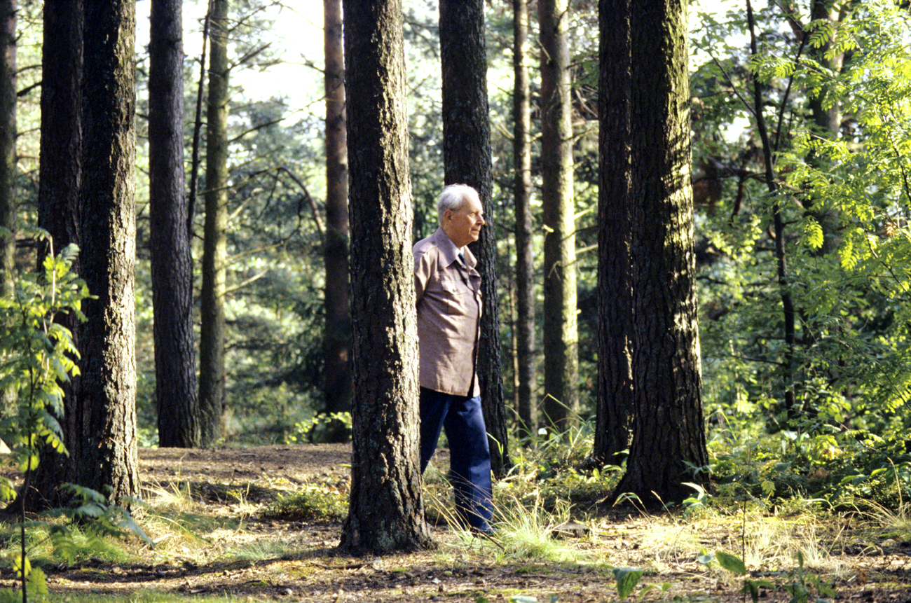 Dmitry Likhachov at his summer house in Komarovo, Leningrad Region, Russia. Source: Vsevolod Tarasevich/RIA Novosti