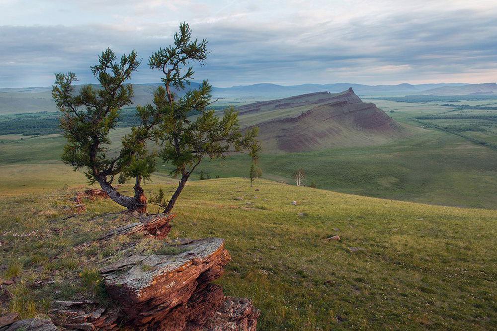 Photo credit: Alexandr Nerozya