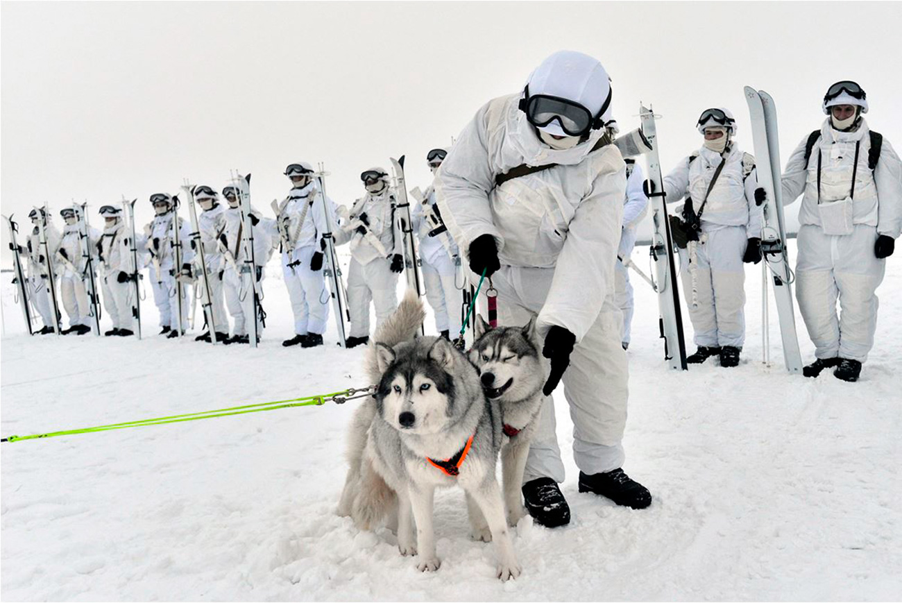 Fuente: Russian Ministry of Defense