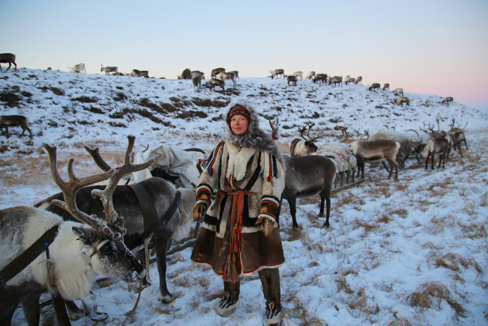 Izvor: Aleksandra Terjohina i Aleksandar Volkovicki, yamalexpedition.ru