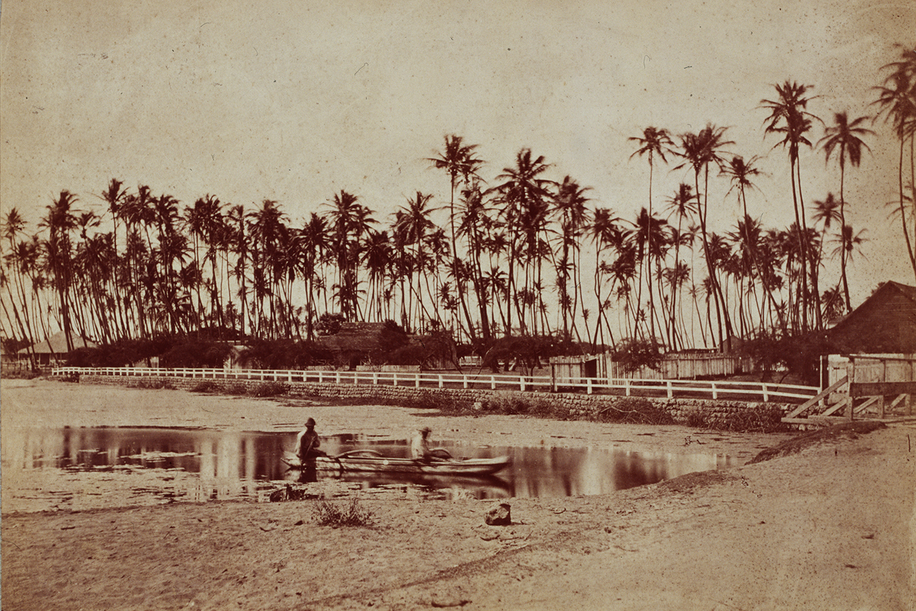 Two men paddle a small open boat in a pond in front of a coconut grove. Waikiki, Hawaii, ca. 1890. Source: Getty Images